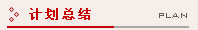 计划总结