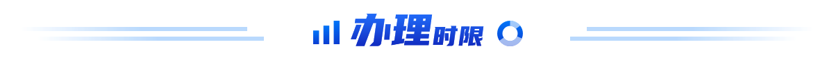 办理时限